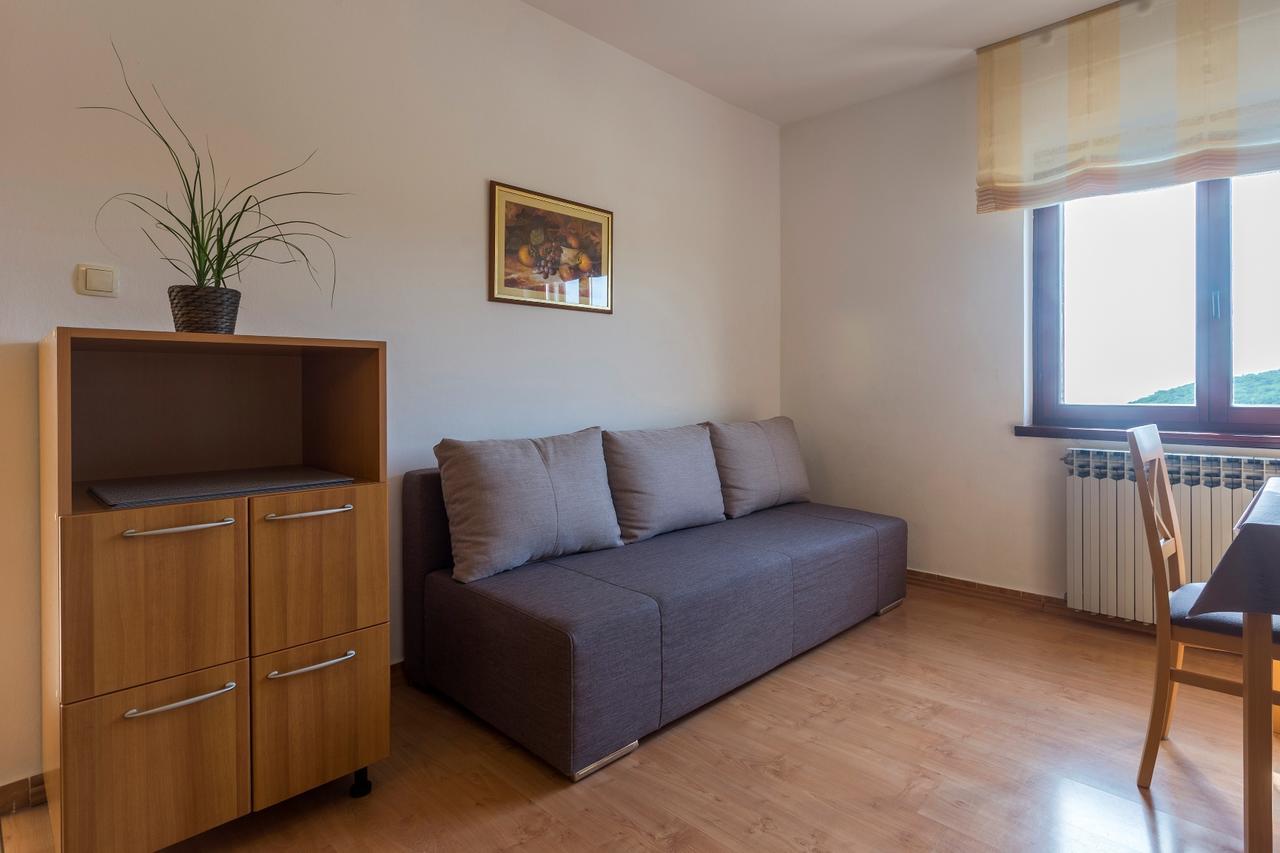 לאבין Apartments Rajkovic מראה חיצוני תמונה